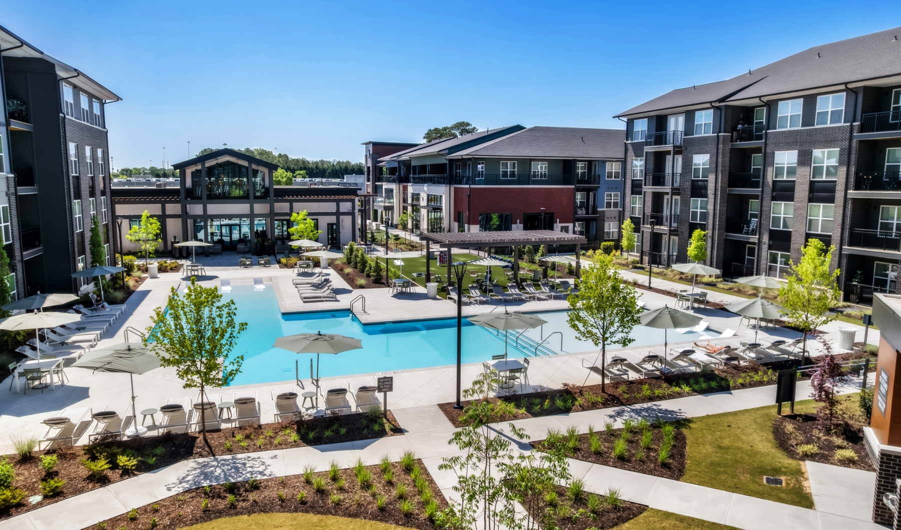 Illuminate Your Life